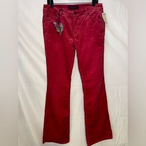 Indigo Palms Corduroy Pants